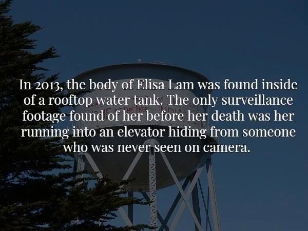 sky - In 2013, the body of Elisa Lam was found inside of a rooftop water tank. The only surveillance footage found of her before her death was her running into an elevator hiding from someone who was never seen on camera. Va