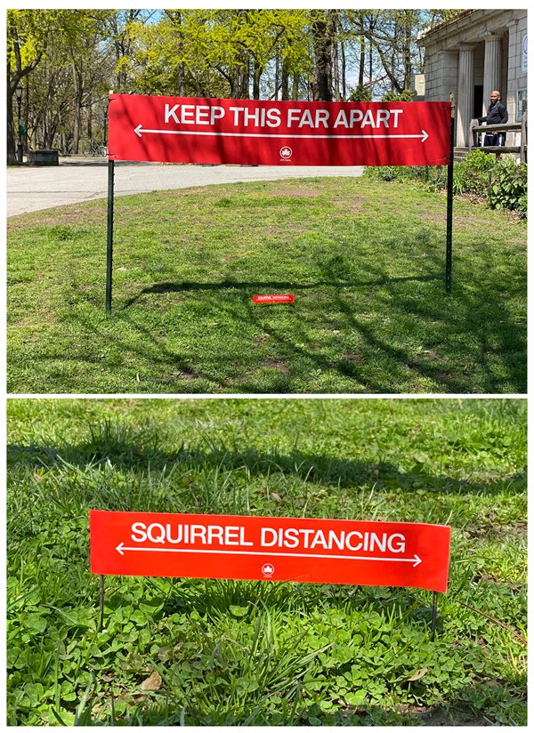 squirrel social distancing sign - Keep This Far Apart Squirrel Distancing