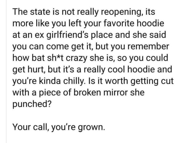 quotes - The state is not really reopening, its more you left your favorite hoodie at an ex girlfriend's place and she said you can come get it, but you remember how bat sht crazy she is, so you could get hurt, but it's a really cool hoodie and you're kin