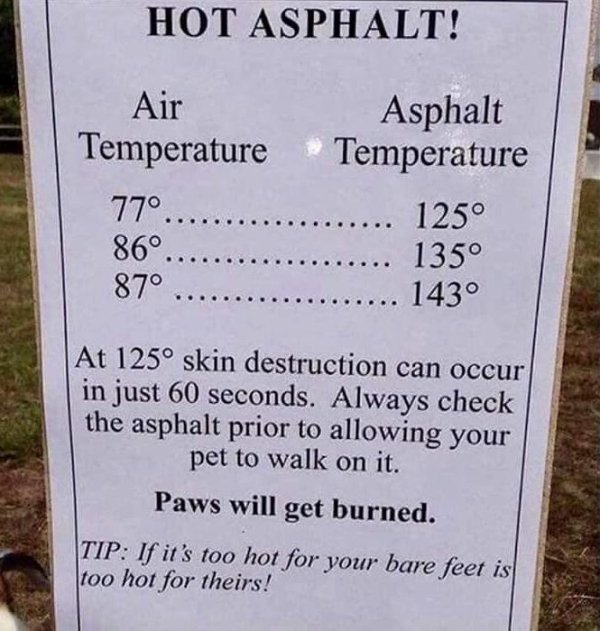 Hot Asphalt! Air Temperature 77...... 86..... 87 ..... Asphalt Temperature 125 ... 135 143 At 125 skin destruction can occur in just 60 seconds. Always check the asphalt prior to allowing your pet to walk on it. Paws will get burned. If it's too hot for y