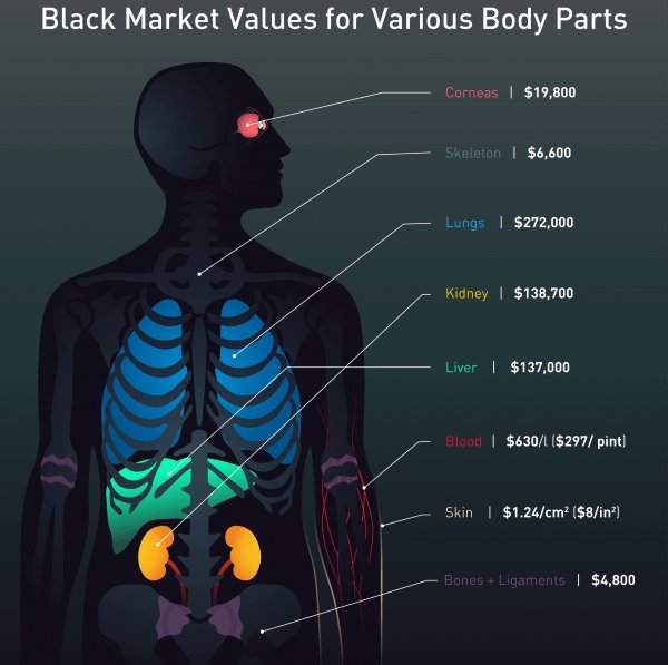 Black Market Values for Various Body Parts Corneas | $19,800 Skeleton | $6,600 Lungs $272,000 Kidney | $138,700 Liver | $137,000 Blood | $6301 $297 pint Skin | $1.24cm2 $8in? Bones Ligaments | $4,800