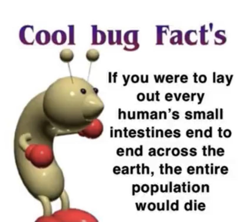 cartoon - Cool bug Fact's If you were to lay out every human's small intestines end to end across the earth, the entire population would die
