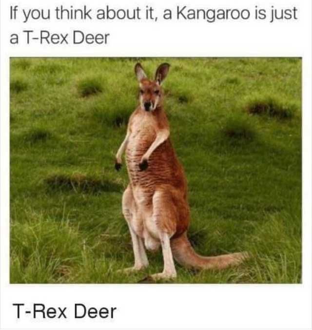 kangaroo t rex deer - If you think about it, a Kangaroo is just a TRex Deer TRex Deer