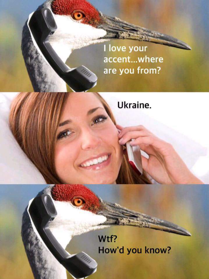 ukraine meme - I love your accent...where are you from? Ukraine. Wtf? How'd you know? Mini