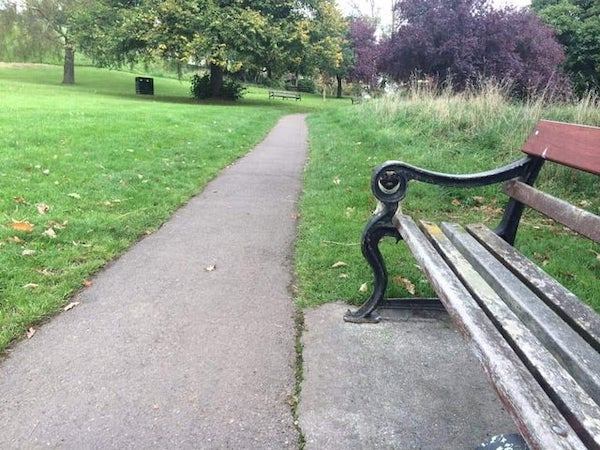 hidden pug in park bench