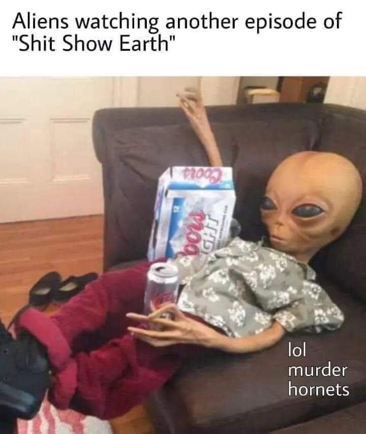 suicidal millennial meme - Aliens watching another episode of "Shit Show Earth" 2002 nog Ight lol murder hornets