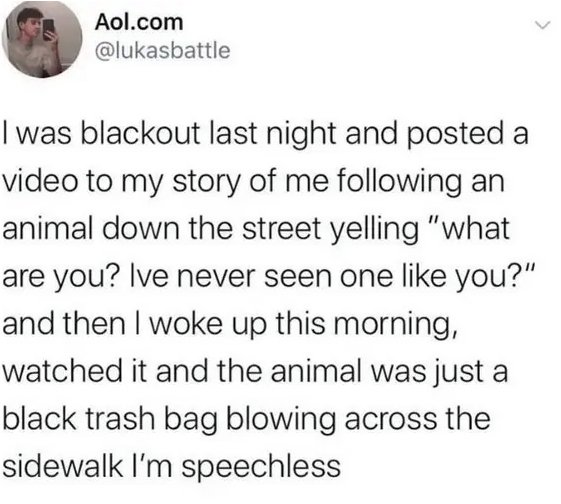 wakanda sauce meme - Aol.com I was blackout last night and posted a video to my story of me ing an animal down the street yelling "what are you? Ive never seen one you?" and then I woke up this morning, watched it and the animal was just a black trash bag