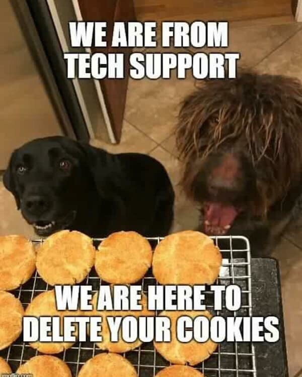 tech support meme - We Are From Tech Support We Are Here To Delete Your Cookies Itto