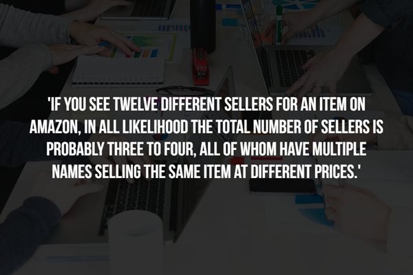 best fires - "If You See Twelve Different Sellers For An Item On Amazon, In All lihood The Total Number Of Sellers Is Probably Three To Four, All Of Whom Have Multiple Names Selling The Same Item At Different Prices.'