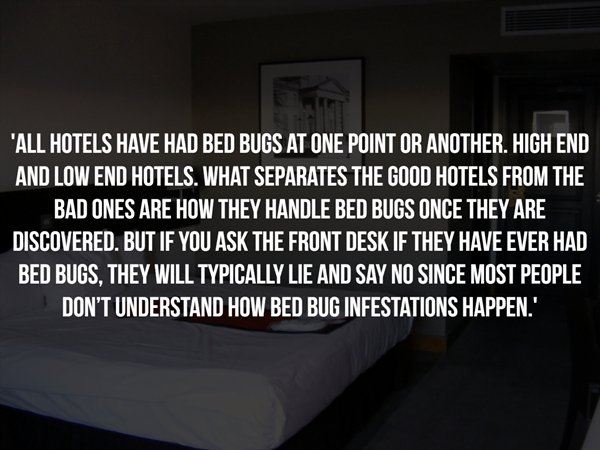 light - "All Hotels Have Had Bed Bugs At One Point Or Another. High End And Low End Hotels. What Separates The Good Hotels From The Bad Ones Are How They Handle Bed Bugs Once They Are Discovered. But If You Ask The Front Desk If They Have Ever Had Bed Bug