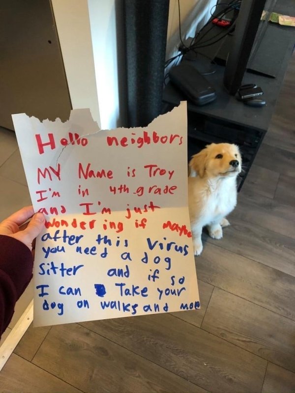 Dog - Hello neighbors My Name is Troy 4th grade and I'm just wondering if I'm in after this virus you need a dog and if so Sitter I can dog on walks and mon Take your