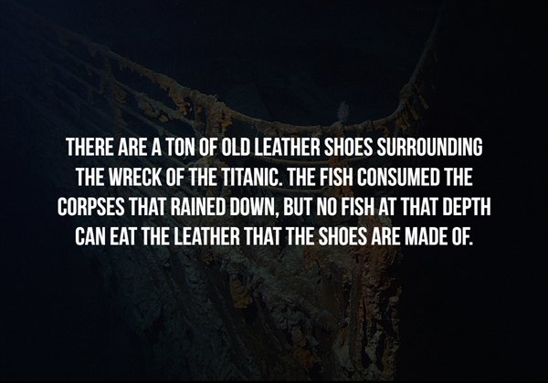 trans fat - There Are A Ton Of Old Leather Shoes Surrounding The Wreck Of The Titanic. The Fish Consumed The Corpses That Rained Down, But No Fish At That Depth Can Eat The Leather That The Shoes Are Made Of.