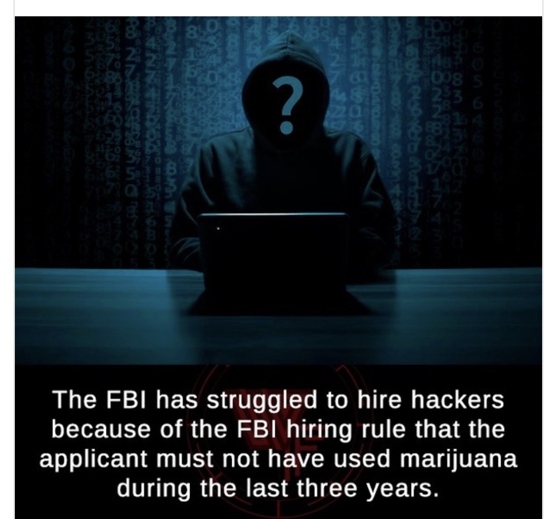 2008 S 20 Nous Cool Nuo The Fbi has struggled to hire hackers because of the Fbi hiring rule that the applicant must not have used marijuana during the last three years.