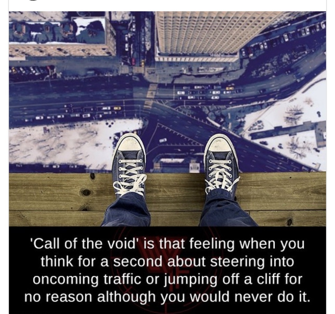 'Call of the void' is that feeling when you think for a second about steering into oncoming traffic or jumping off a cliff for no reason although you would never do it.