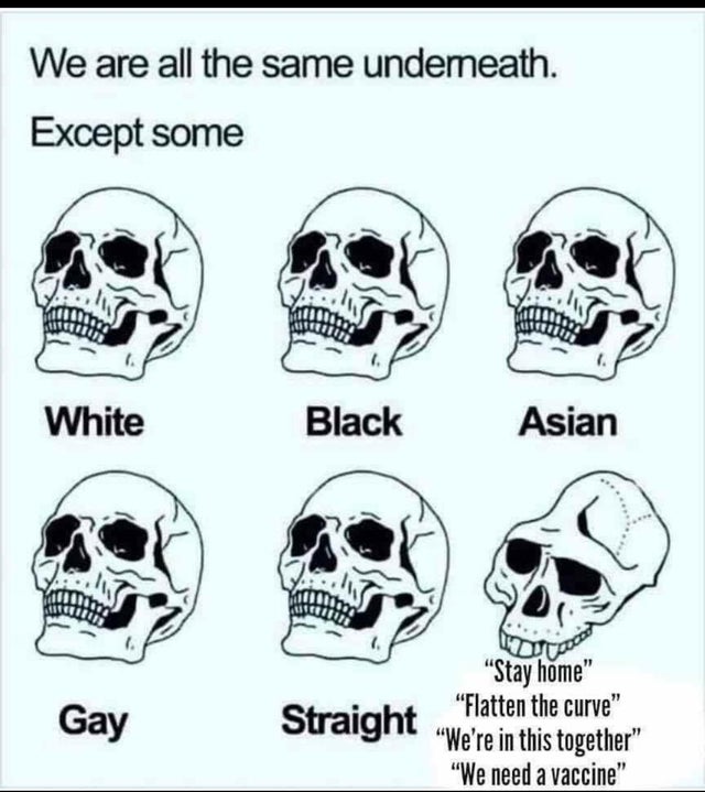 neanderthal brain meme - We are all the same undemeath. Except some White Black Asian Gay "Stay home" "Flatten the curve" Straight "We're in this together" "We need a vaccine"