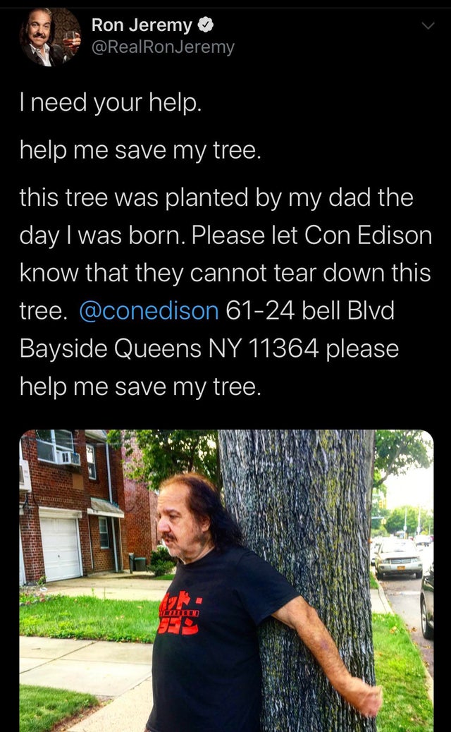 Ron Jeremy - Ron Jeremy I need your help. help me save my tree. this tree was planted by my dad the day I was born. Please let Con Edison know that they cannot tear down this tree. 6124 bell Blvd Bayside Queens Ny 11364 please help me save my tree. Lilled