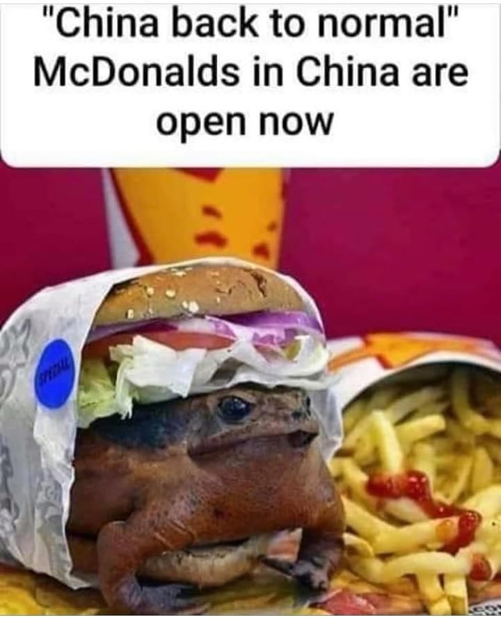frog burger - "China back to normal" McDonalds in China are open now