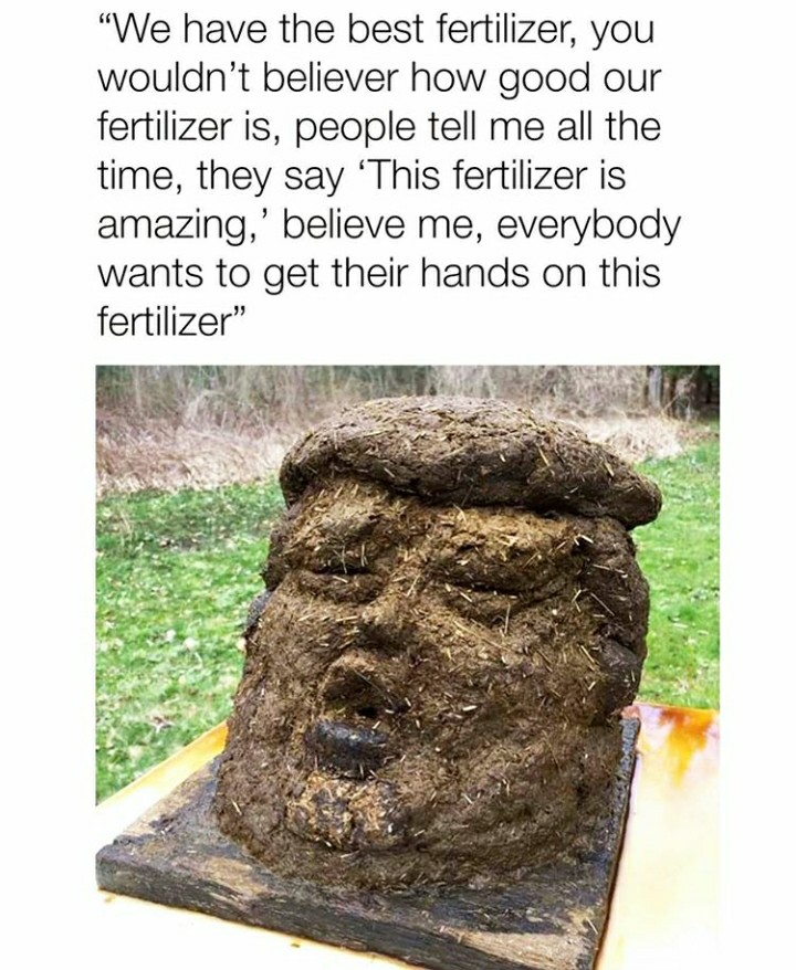 trump statue horse shit - "We have the best fertilizer, you wouldn't believer how good our fertilizer is, people tell me all the time, they say 'This fertilizer is amazing,' believe me, everybody wants to get their hands on this fertilizer"