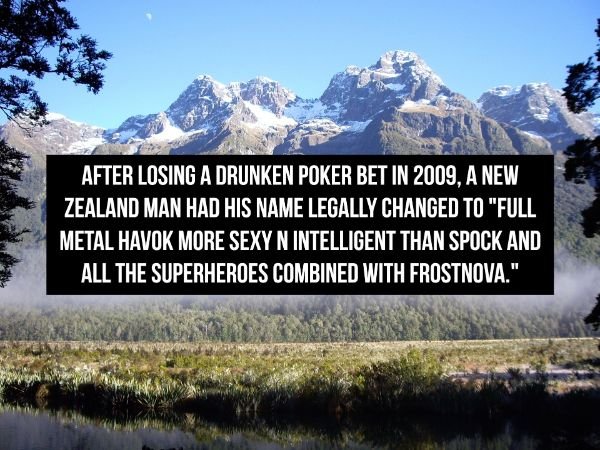 nature - After Losing A Drunken Poker Bet In 2009, A New Zealand Man Had His Name Legally Changed To "Full Metal Havok More Sexy N Intelligent Than Spock And All The Superheroes Combined With Frostnova."