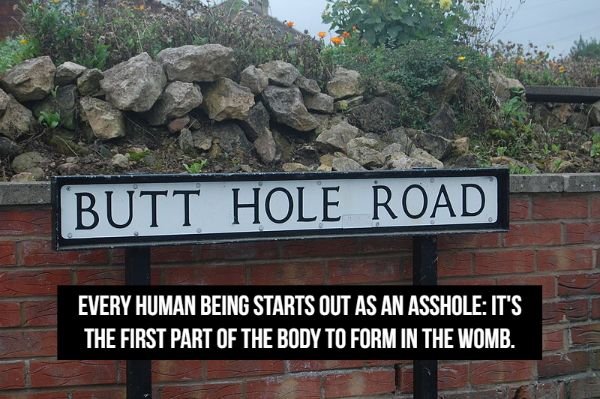 butt hole road - Butt Hole Road Every Human Being Starts Out As An Asshole It'S The First Part Of The Body To Form In The Womb.