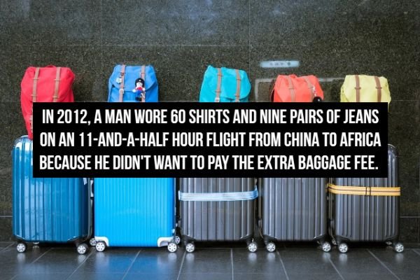 ktx busan to seoul luggage - In 2012, A Man Wore 60 Shirts And Nine Pairs Of Jeans On An 11AndAHalf Hour Flight From China To Africa Because He Didn'T Want To Pay The Extra Baggage Fee.