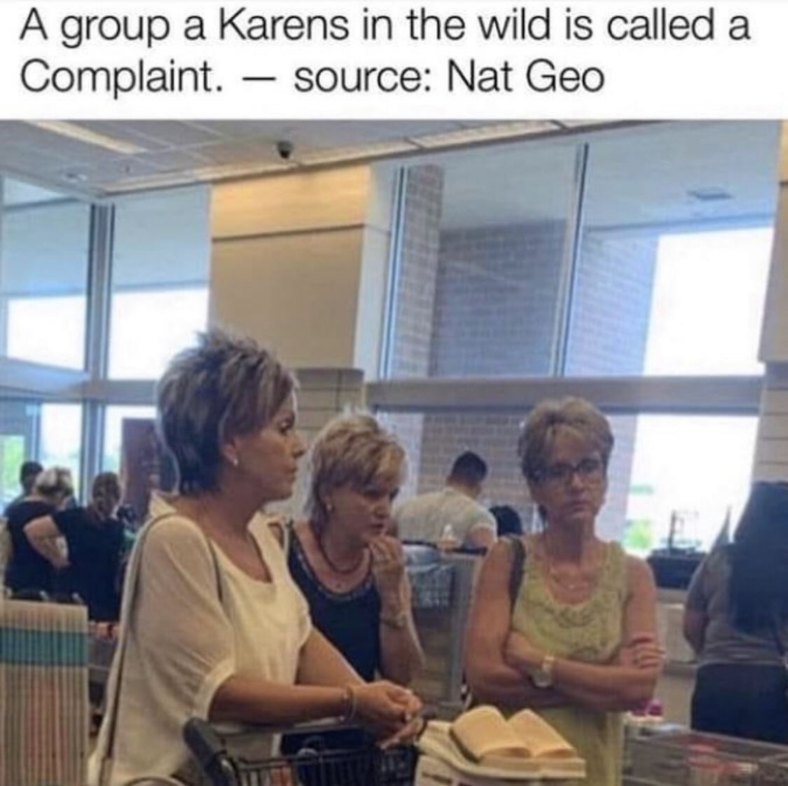 conversation - A group a Karens in the wild is called a Complaint. source Nat Geo