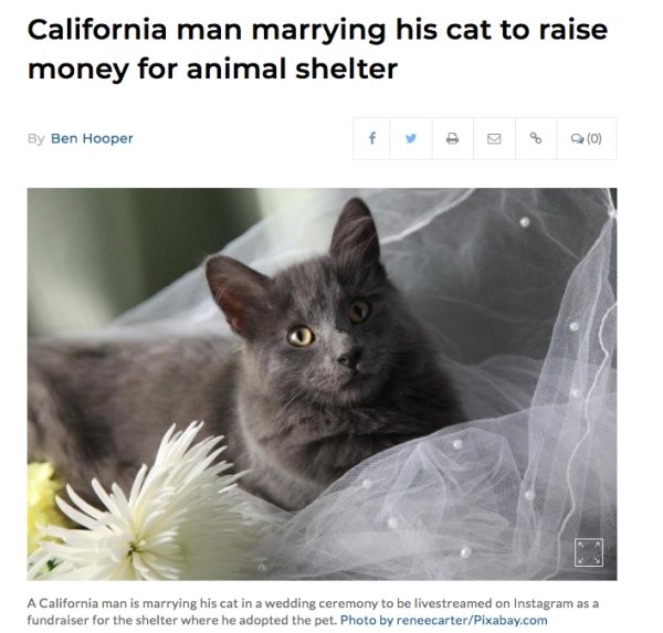 California man marrying his cat to raise money for animal shelter By Ben Hooper f do 0 A California man is marrying his cat in a wedding ceremony to be livestreamed on Instagram as a fundraiser for the shelter where he adopted the pet. Photo by…