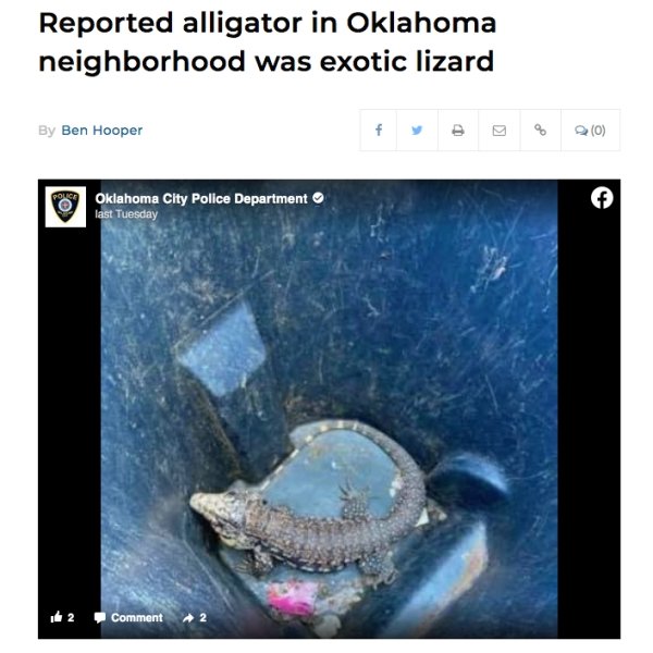 screenshot - Reported alligator in Oklahoma neighborhood was exotic lizard D By Ben Hooper 8 0 Oklahoma City Police Department last Tuesday f 2 Comment 2