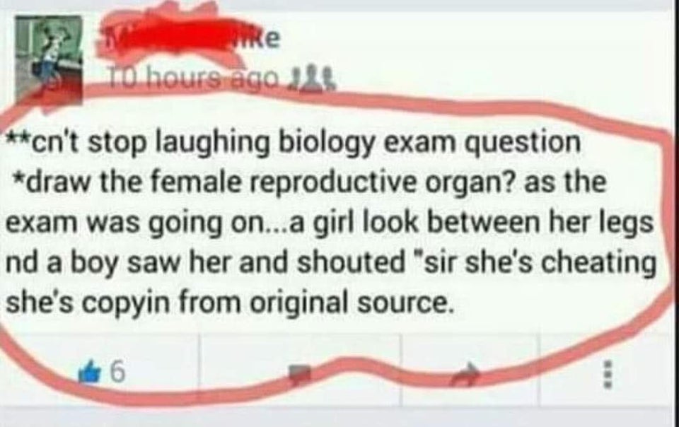 don't stop laughing biology exam question draw the female reproductive organ? as the exam was going on...a girl look between her legs and a boy saw her and shouted