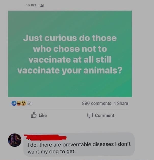 Just curious do those who chose not to vaccinate at all still vaccinate your animals? - I do, there are preventable diseases I don't want my dog to get.
