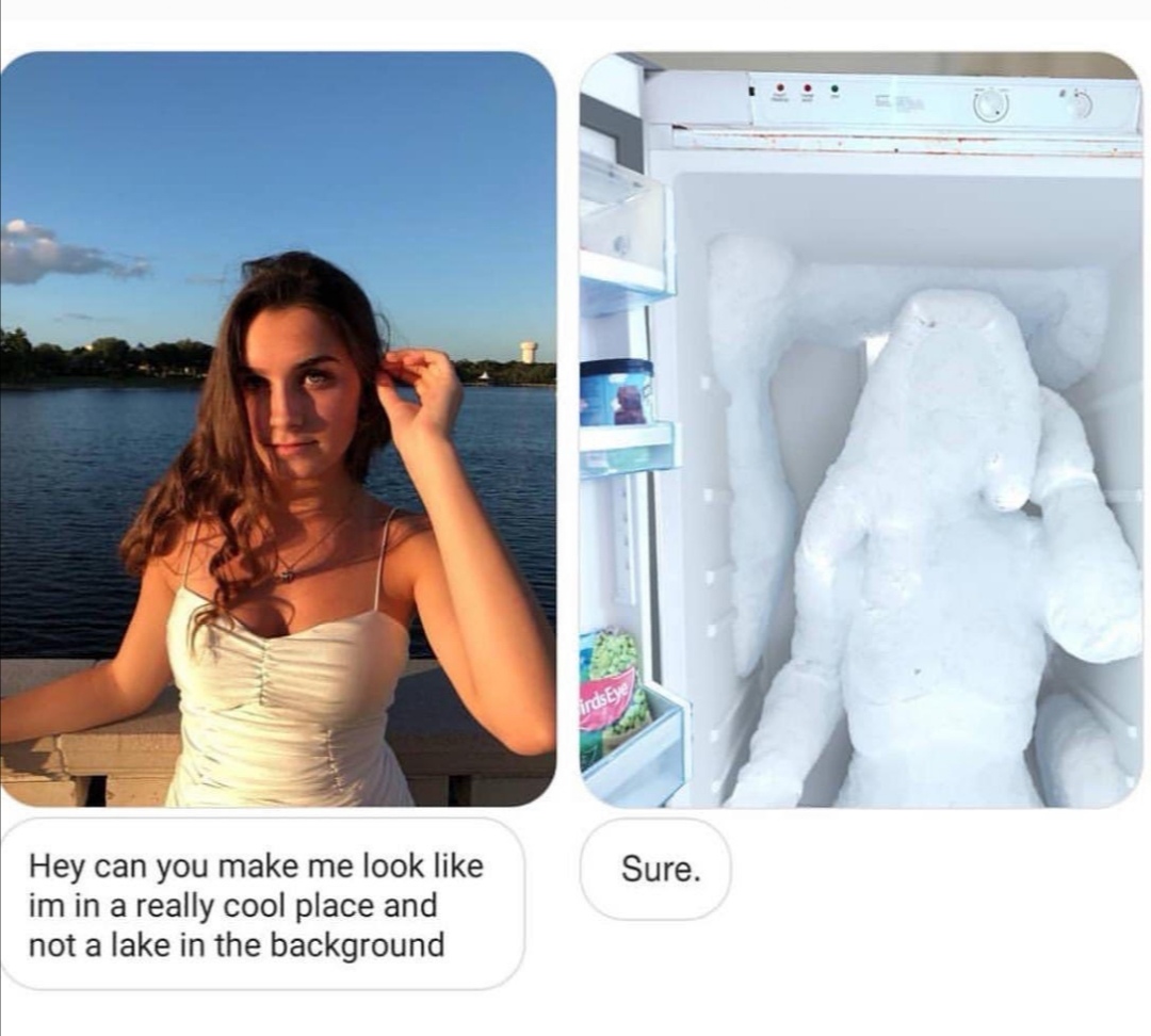 james fridman memes - irdsEye Sure. Hey can you make me look im in a really cool place and not a lake in the background
