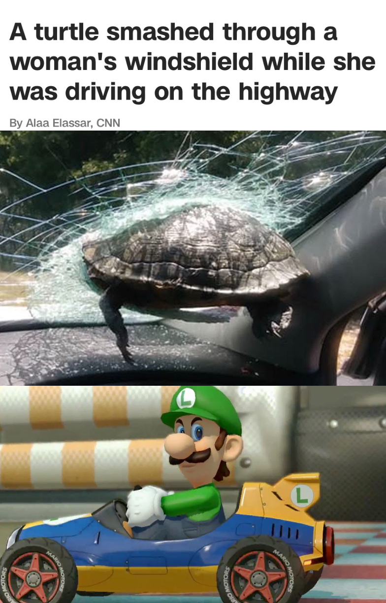 luigi mario kart tour - A turtle smashed through a woman's windshield while she was driving on the highway By Alaa Elassar. Cnn