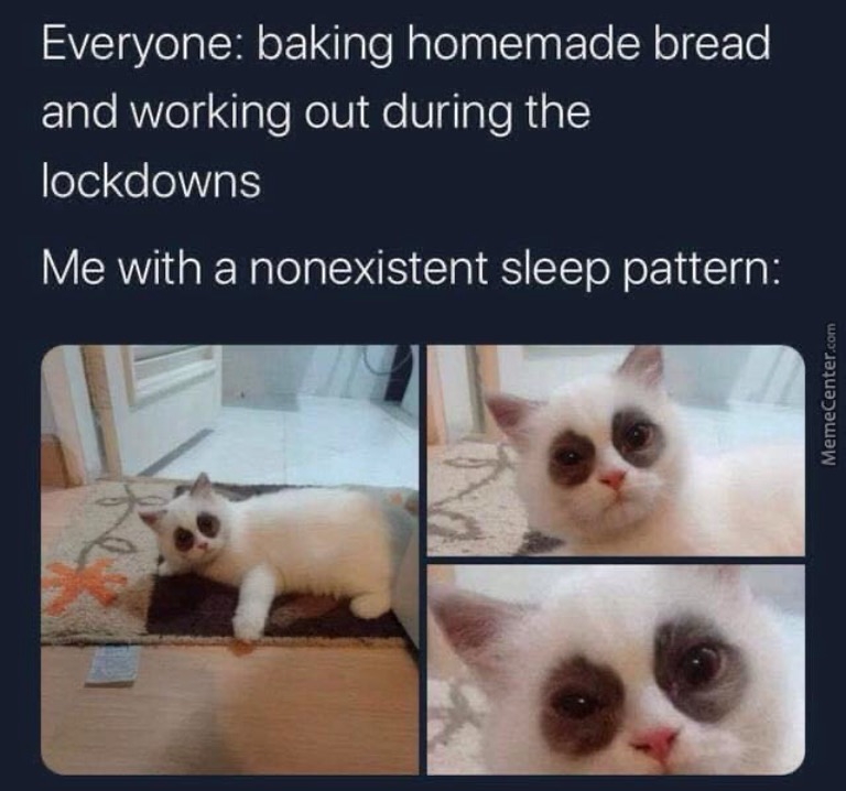 Everyone baking homemade bread and working out during the lockdowns Me with a nonexistent sleep pattern MemeCenter.com