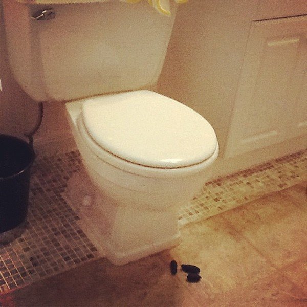 fake playdoh poop next to toilet