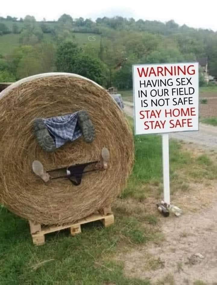 funny memes - Warning Having Sex In Our Field Is Not Safe Stay Home Stay Safe