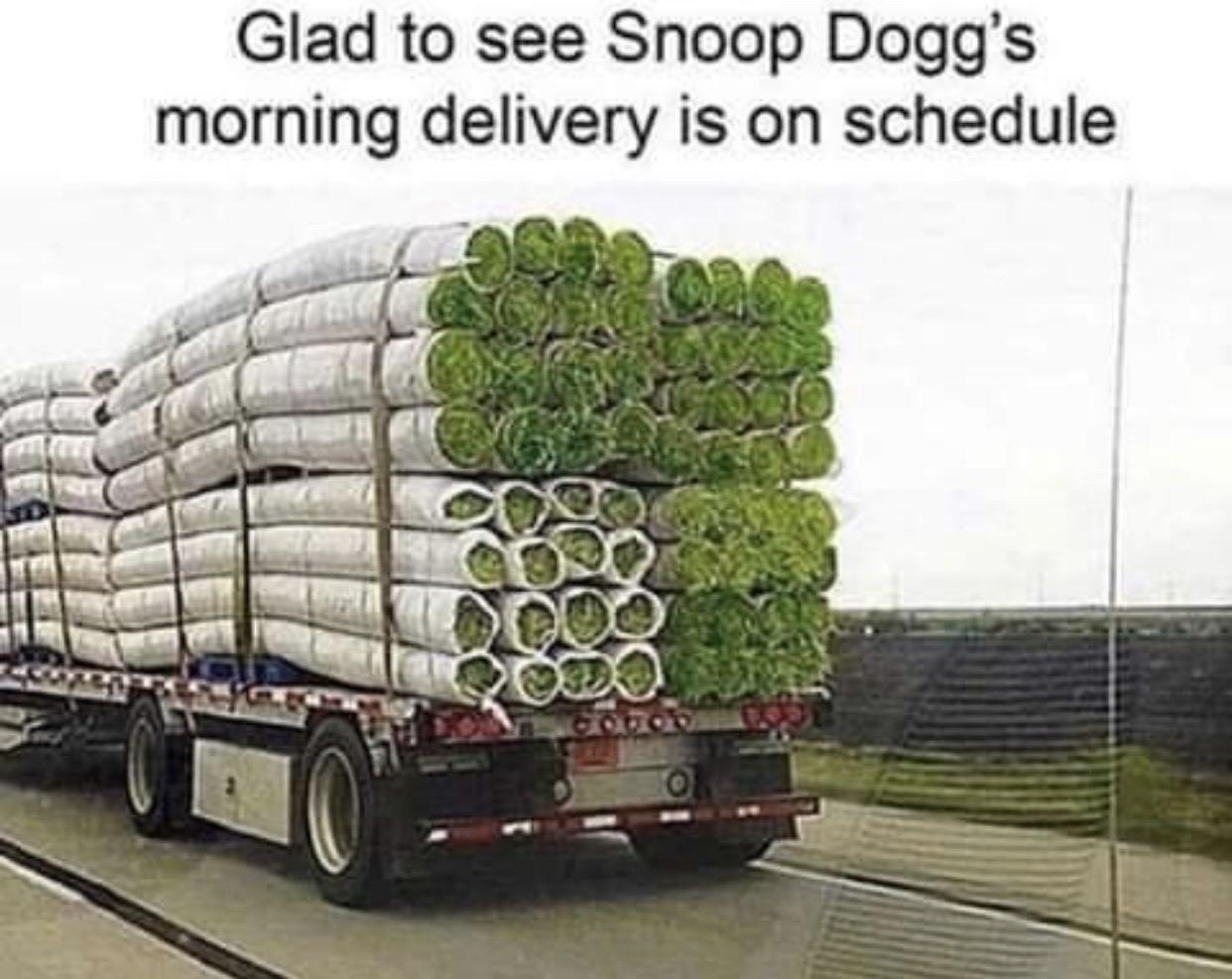 funny memes - Glad to see Snoop Dogg's morning delivery is on schedule