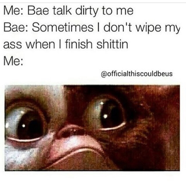 funny memes - Me Bae talk dirty to me Bae Sometimes I don't wipe my ass when I finish shittin Me
