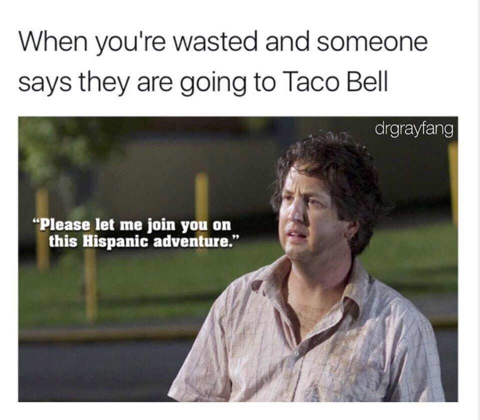 funny memes - When you're wasted and someone says they are going to Taco Bell - Please let me join you on this Hispanic adventure.