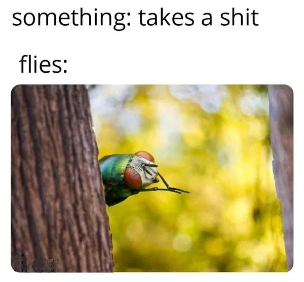 funny memes - something takes a shit flies rubbing hands together hiding behind tree