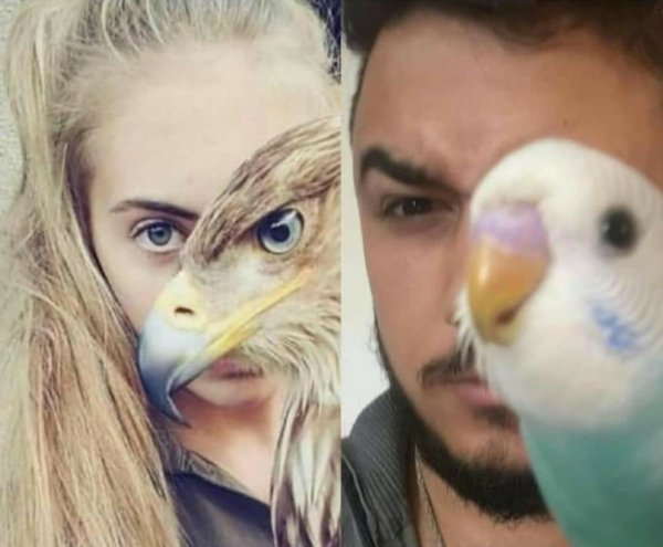 funny memes - man and woman with faces covered up by birds