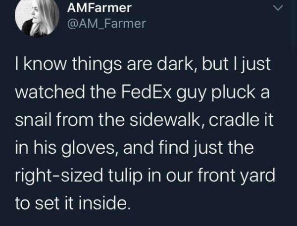 raccooneggs tweet - AMFarmer I know things are dark, but I just watched the FedEx guy pluck a snail from the sidewalk, cradle it in his gloves, and find just the rightsized tulip in our front yard to set it inside.