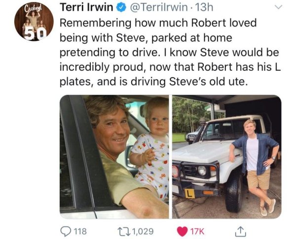 photo caption - Crekegh Terri Irwin . 13h Remembering how much Robert loved 50 being with Steve, parked at home pretending to drive. I know Steve would be incredibly proud, now that Robert has his L plates, and is driving Steve's old ute. 118 121,