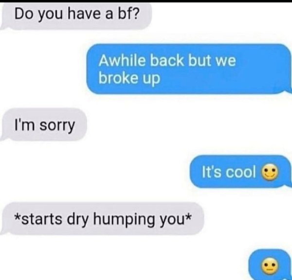 Internet meme - Do you have a bf? Awhile back but we broke up I'm sorry It's cool starts dry humping you