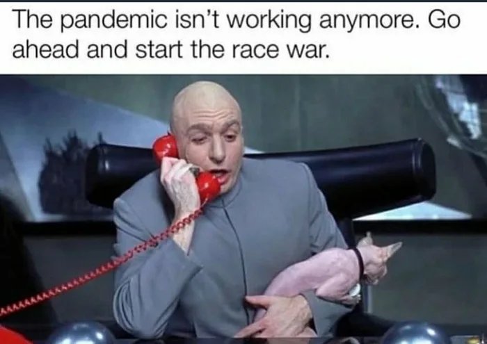 funny memes - murder hornet memes - The pandemic isn't working anymore. Go ahead and start the race war. Akak