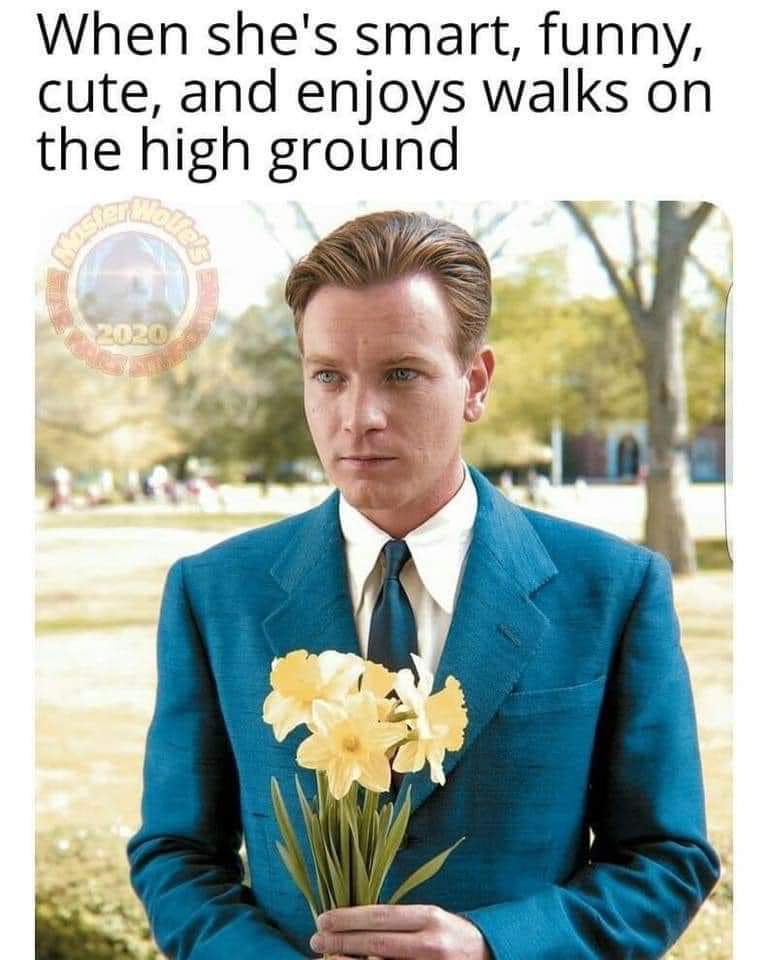 funny memes - big fish ewan mcgregor - When she's smart, funny, cute, and enjoys walks on the high ground be