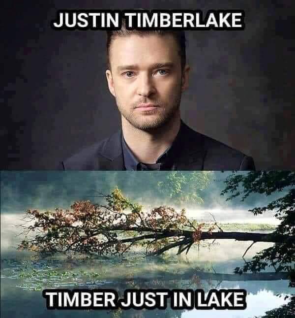 funny memes - justin timberlake memes - Justin Timberlake Timber Just In Lake