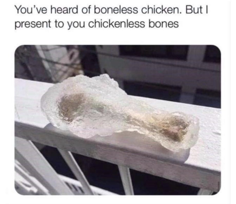 funny memes - chickenless bone wing - You've heard of boneless chicken. But present to you chickenless bones