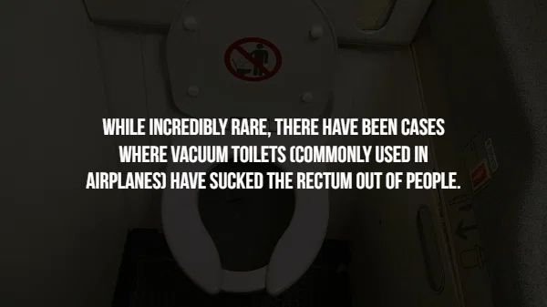 screenshot - While Incredibly Rare, There Have Been Cases Where Vacuum Toilets Commonly Used In Airplanes Have Sucked The Rectum Out Of People.