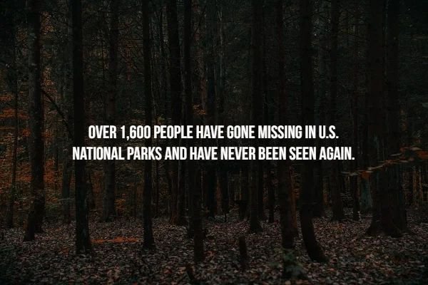 nature - Over 1,600 People Have Gone Missing In U.S. National Parks And Have Never Been Seen Again.
