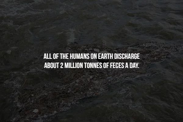 water resources - All Of The Humans On Earth Discharge About 2 Million Tonnes Of Feces A Day.